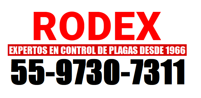 RODEX