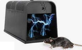 TRAMPAS DE RATA exterminador de ratas 24 horas cdmx