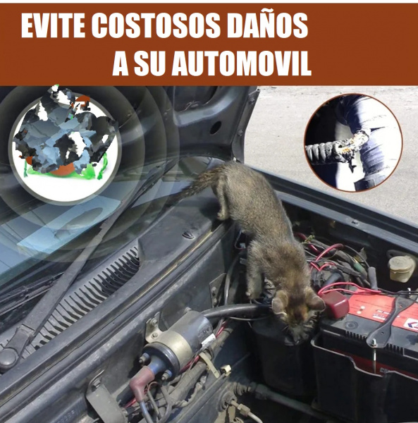 ratas rodex